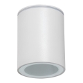 Venkovní bodové svítidlo AQILO 1xGU10/7W/230V IP65 bílá