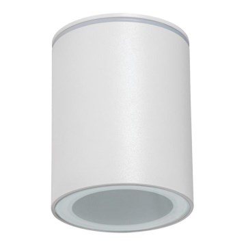 Venkovní bodové svítidlo AQILO 1xGU10/7W/230V IP65 bílá