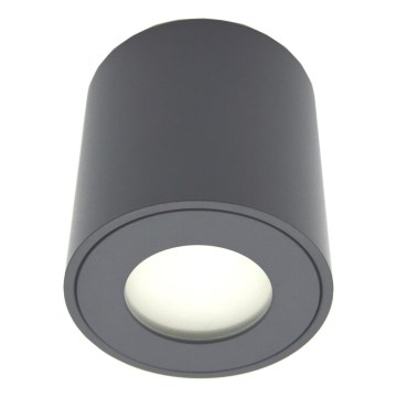 Venkovní bodové svítidlo FARA 1xGU10/30W/230V IP54 černá