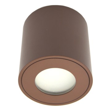 Venkovní bodové svítidlo FARA 1xGU10/30W/230V IP54 hnědá