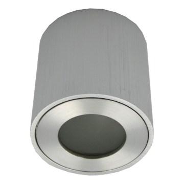Venkovní bodové svítidlo FARA 1xGU10/30W/230V IP54 stříbrná