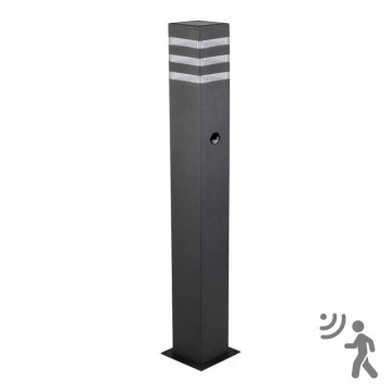 Venkovní lampa se senzorem TEKSAS 1xE27/12W/230V IP44 74 cm grafit