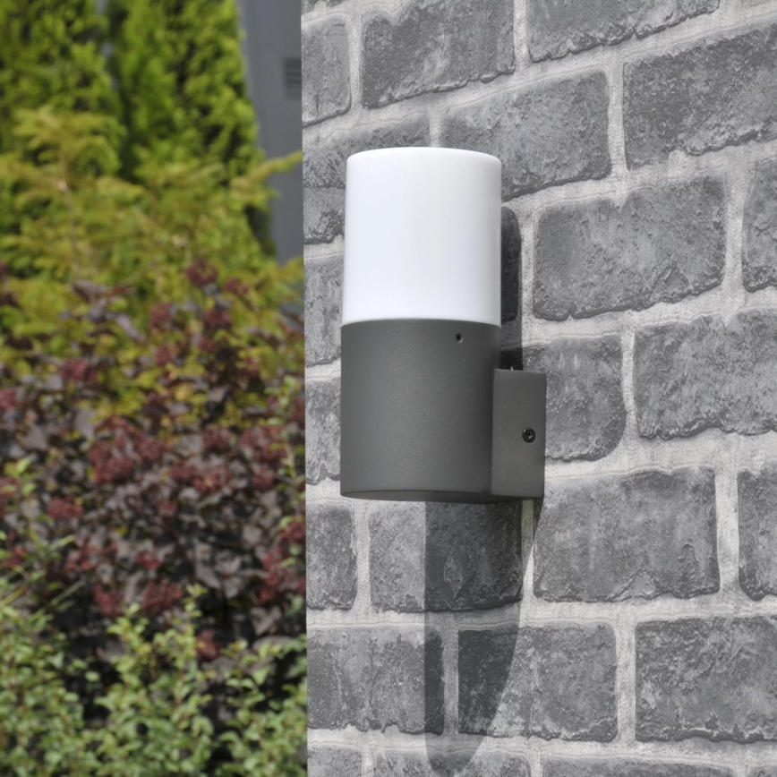 Venkovní nástěnné svítidlo DALLAS 1xE27/12W/230V IP44 grafit