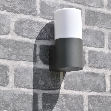 Venkovní nástěnné svítidlo DALLAS 1xE27/12W/230V IP44 grafit