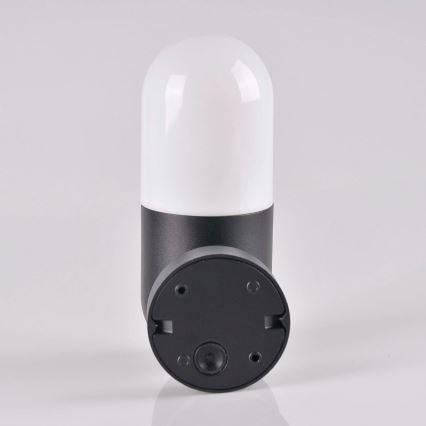 Venkovní nástěnné svítidlo HORTEN 1xE27/10W/230V IP44