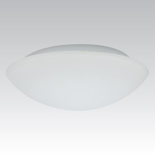Venkovní nástěnné svítidlo KAROLINA 2xE27/60W opálové sklo IP44
