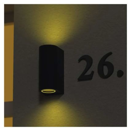 Venkovní nástěnné svítidlo OCULUS 2xGU10/7W/230V IP44