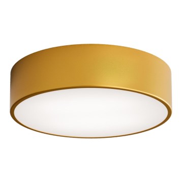 Venkovní stropní svítidlo se senzorem CLEO 2xE27/24W/230V pr. 30 cm zlatá IP54