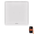 Vypínač 1-tlačítkový GoSmart 1xCR2430 Tuya bílá
