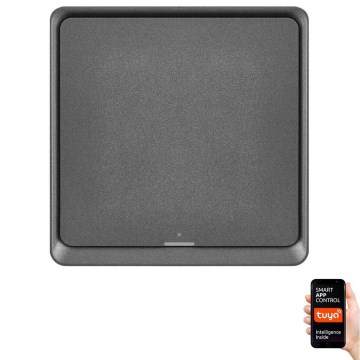 Vypínač 1-tlačítkový GoSmart 1xCR2430 Tuya černá