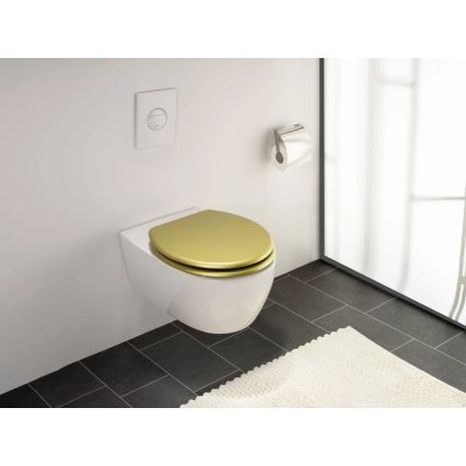 WENKO 26010100 - WC sedátko ALDENO 37x41 cm zlatá/stříbrná