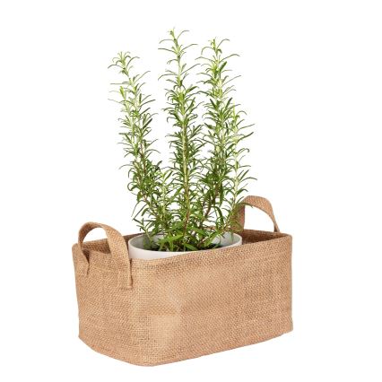 WENKO 64471100 - Koš JUNA 24x17 cm hnědá