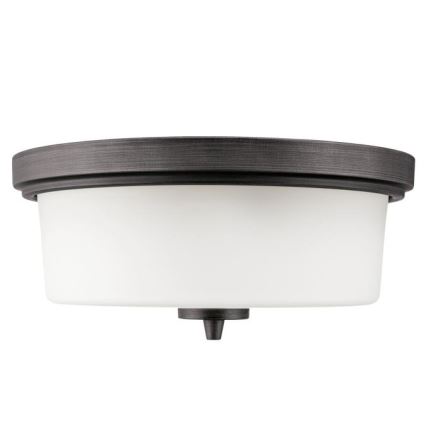 Westinghouse 6325140 - Stropní svítidlo CEDRIC 2xE27/40W/230V pr. 33 cm