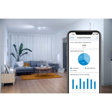 WiZ - Chytrá zásuvka F 2300W + powermetr Wi-Fi SCHUKO