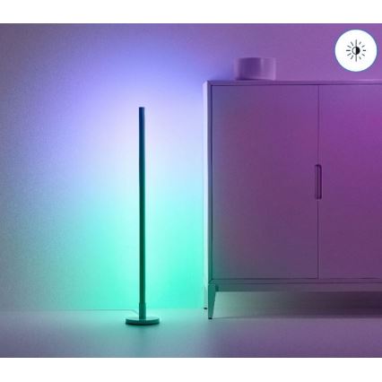 WiZ - LED RGBW Stmívatelná stojací lampa POLE LED/13W/230V 2200-6500K Wi-Fi