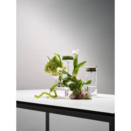 WMF - Karafa na vodu MOTION 800 ml