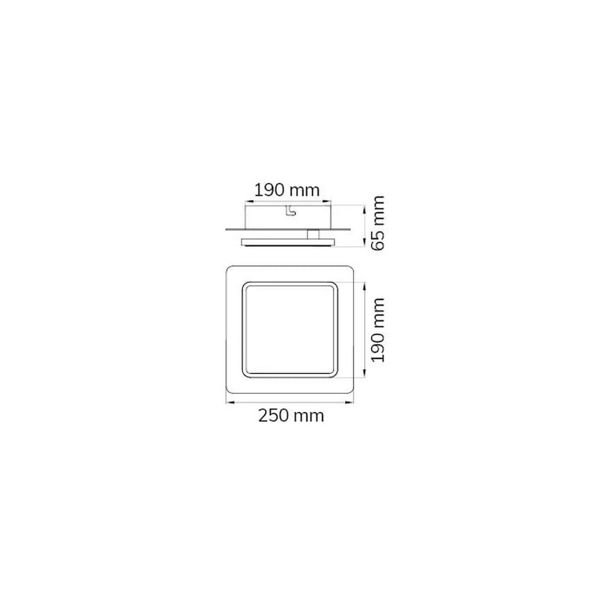 Wofi 12051 - LED Stropní svítidlo SUTTER LED/10,5W/230V 3000K zlatá