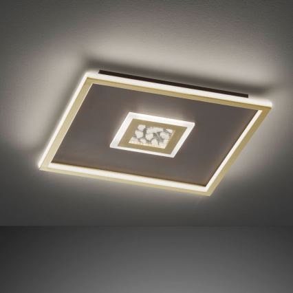 Wofi 12131FW - LED Stmívatelné stropní svítidlo FARIDA LED/56,5W/230V 3000K