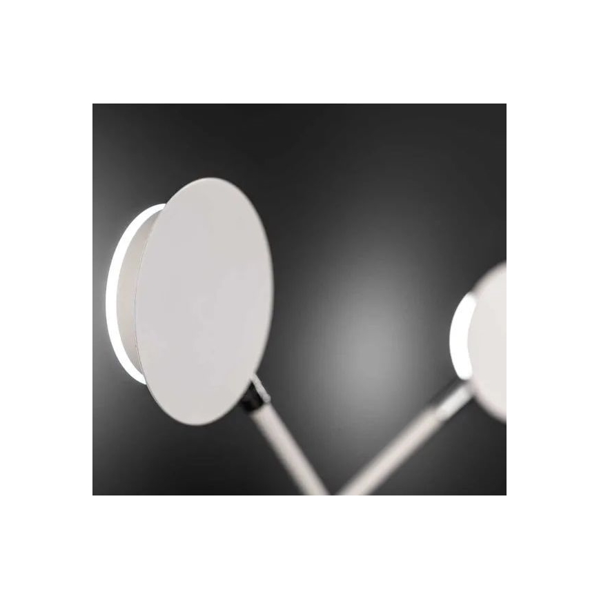 Wofi 446602069000 - LED Nástěnné svítidlo BELIZE 2xLED/5W/230V 3000K bílá