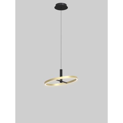 Wofi 6016-104L - LED Stmívatelný lustr na lanku BREST LED/19W/230V černá/zlatá