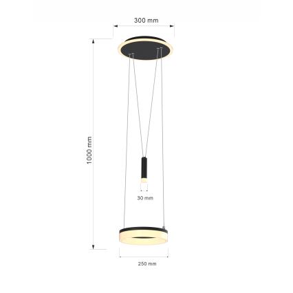 Wofi 6054-302 - LED Stmívatelný lustr na lanku JESSE LED/15,5W/230V černá