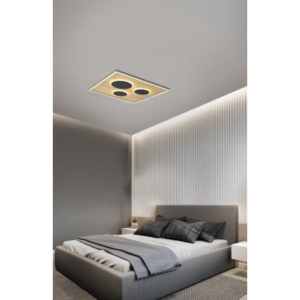 Wofi 9012-306L - LED Stmívatelné stropní svítidlo DIJON LED/40W/230V