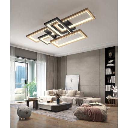 Wofi 9022-506 - LED Stmívatelné stropní svítidlo MATERA LED/60W/230V