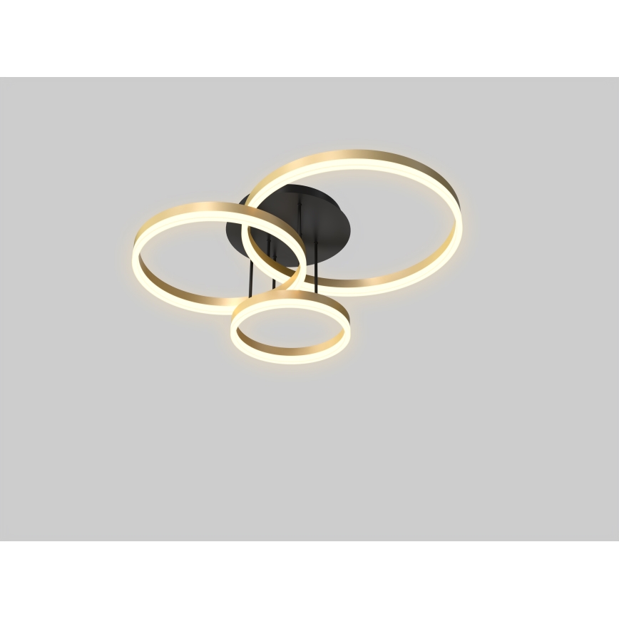 Wofi 9049-401 - LED Stmívatelný přisazený lustr PERPIGNAN LED/51W/230V zlatá