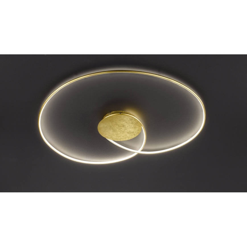 Wofi - LED Stropní svítidlo OPUS LED/32W/230V