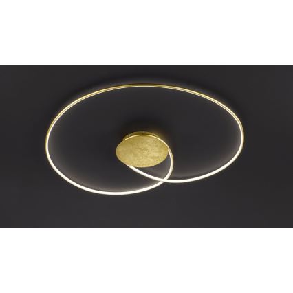 Wofi - LED Stropní svítidlo OPUS LED/32W/230V