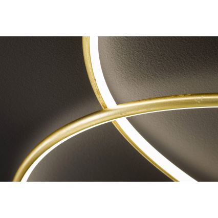 Wofi - LED Stropní svítidlo OPUS LED/32W/230V
