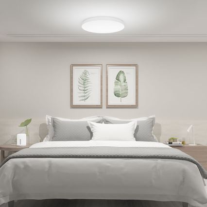 Xiaomi  - LED Stmívatelné stropní svítidlo LED/45W/230V CRI 95 IP50 Wi-Fi/Bluetooth