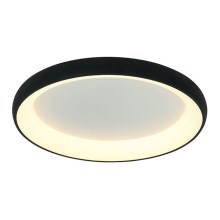 Zambelis 2048 - LED Stmívatelné stropní svítidlo LED/50W/230V pr. 60 cm černá