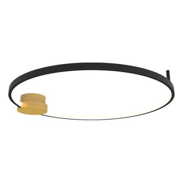 Zambelis 23098 - LED Stmívatelné stropní svítidlo LED/24W/230V 3000K pr. 60 cm černá