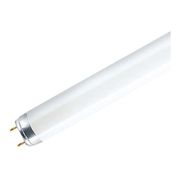 Zářivková trubice G13/18W/230V 4200K 60 cm