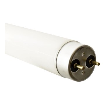 Zářivková trubice G13/36W/230V 6000K 120 cm