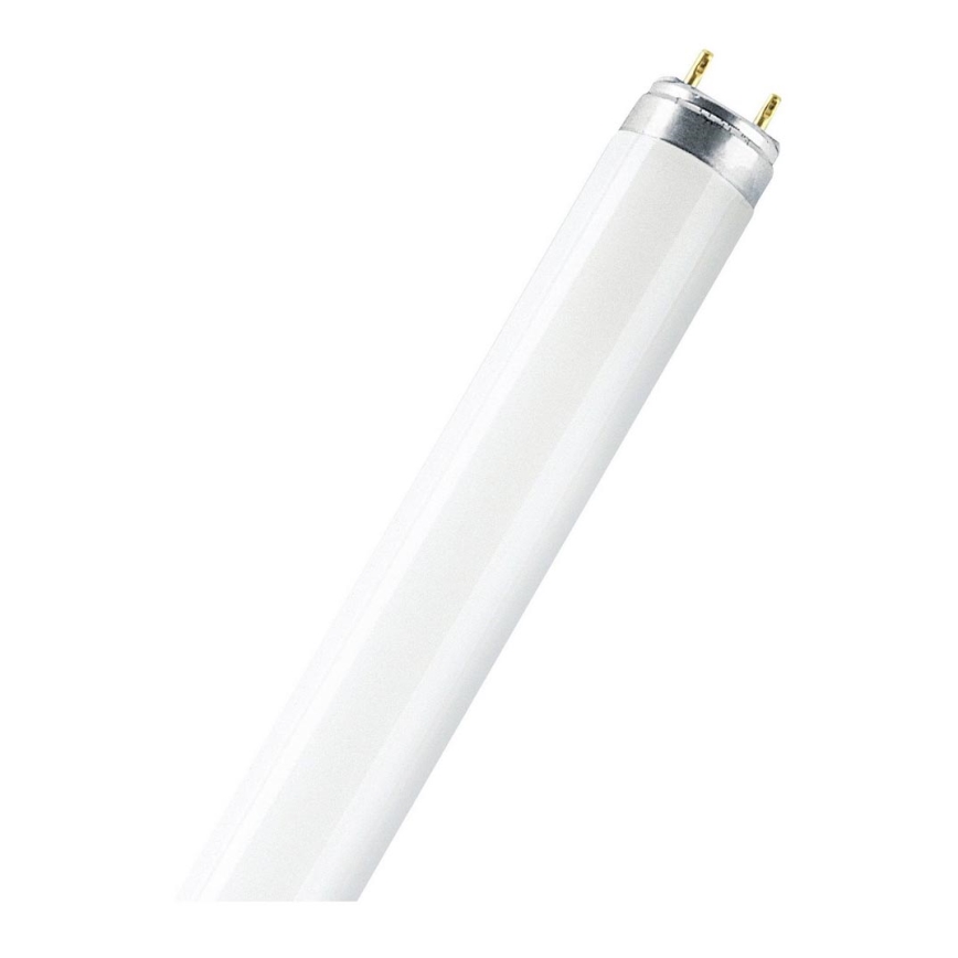 Zářivková trubice LUMILUX T8 G13/30W/230V 4000K - Osram 89,5 cm