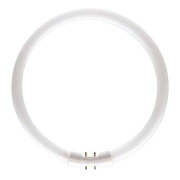 Zářivková trubice Philips MASTER 2GX13/55W/230V 4000K pr. 30,5 cm