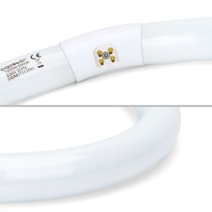 Zářivková trubice T9 G10q/40W/230V 6500K - Aigostar