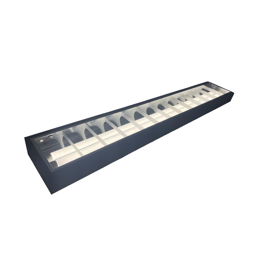 Zářivkové svítidlo T8 2xG13/18W/230V 120 cm černá