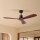 ZEVENTI - Stropní ventilátor LIONI Wi-Fi Tuya černá/dub + dálkové ovládání