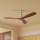 ZEVENTI - Stropní ventilátor LIONI Wi-Fi Tuya matný chrom/dub + dálkové ovládání