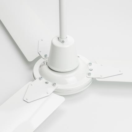 ZEVENTI - Stropní ventilátor TOFINO bílá