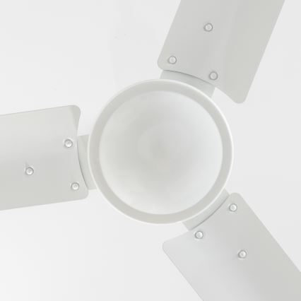 ZEVENTI - Stropní ventilátor TOFINO bílá