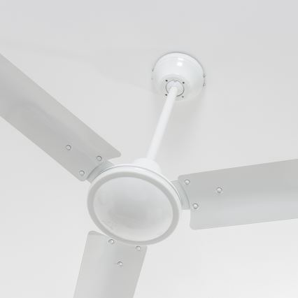 ZEVENTI - Stropní ventilátor TOFINO bílá