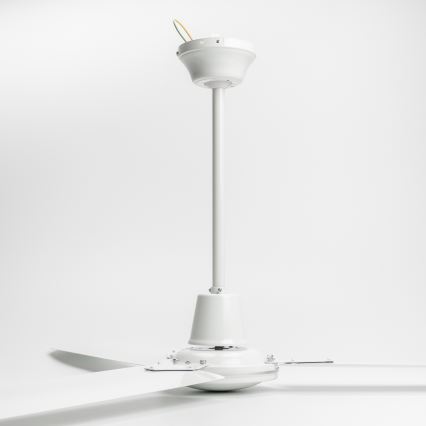 ZEVENTI - Stropní ventilátor TOFINO bílá
