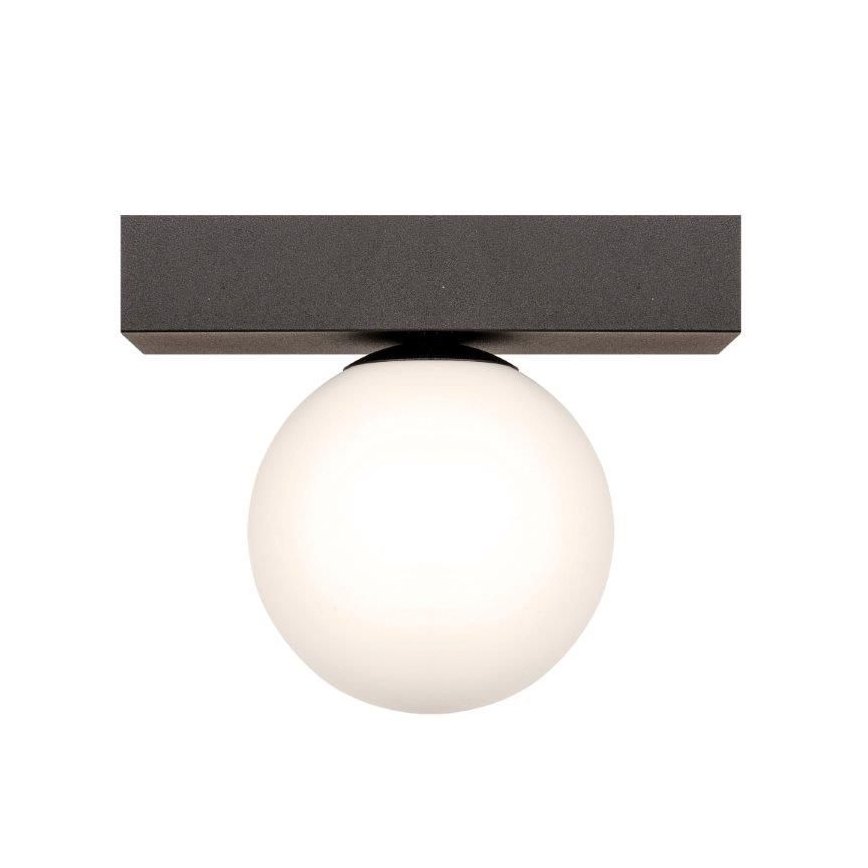 Zuma Line - Stropní svítidlo 1xG9/8W/230V černá