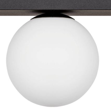 Zuma Line - Stropní svítidlo 1xG9/8W/230V černá