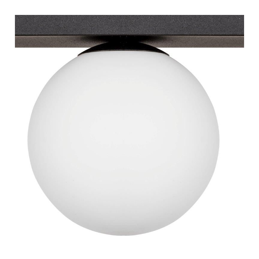 Zuma Line - Stropní svítidlo 1xG9/8W/230V černá