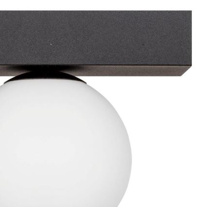 Zuma Line - Stropní svítidlo 1xG9/8W/230V černá